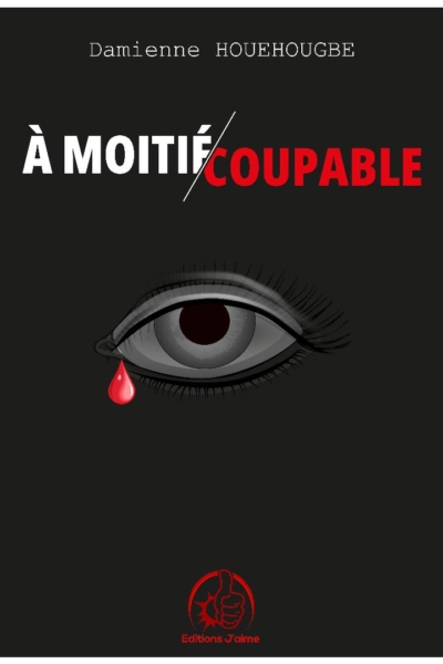 A-moitie-coupable -Damienne-HOUEHOUGBE
